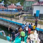 Sambut Kedatangan Presiden, Kelurahan Parapat Bersihkan Bibir Danau Toba