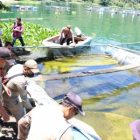 Polemik Penertiban Kerambah Jaringan Apung (KJA)Dengan Dana Kompensasi yang Menggiurkan di Kawasan Danau Toba