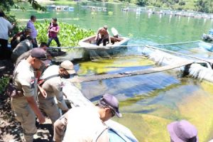 Polemik Penertiban Kerambah Jaringan Apung (KJA)Dengan Dana Kompensasi yang Menggiurkan di Kawasan Danau Toba