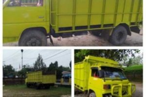 Lagi-Lagi Sindikat Pencuri Buah Kelapa Sawit Tertangkap Basah,Dikebun Mayang