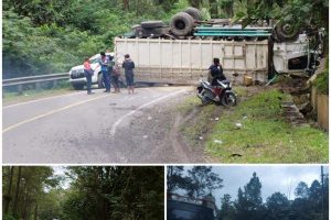 Truck Pakan Terjungkal Di Jalinsum Aek Nauli Parapat