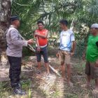 Cegah Kebakaran Hutan dan Lahan Bhabinkamtibmas Polres Simalungun Sampaikan Himbawan kepetani Sawit